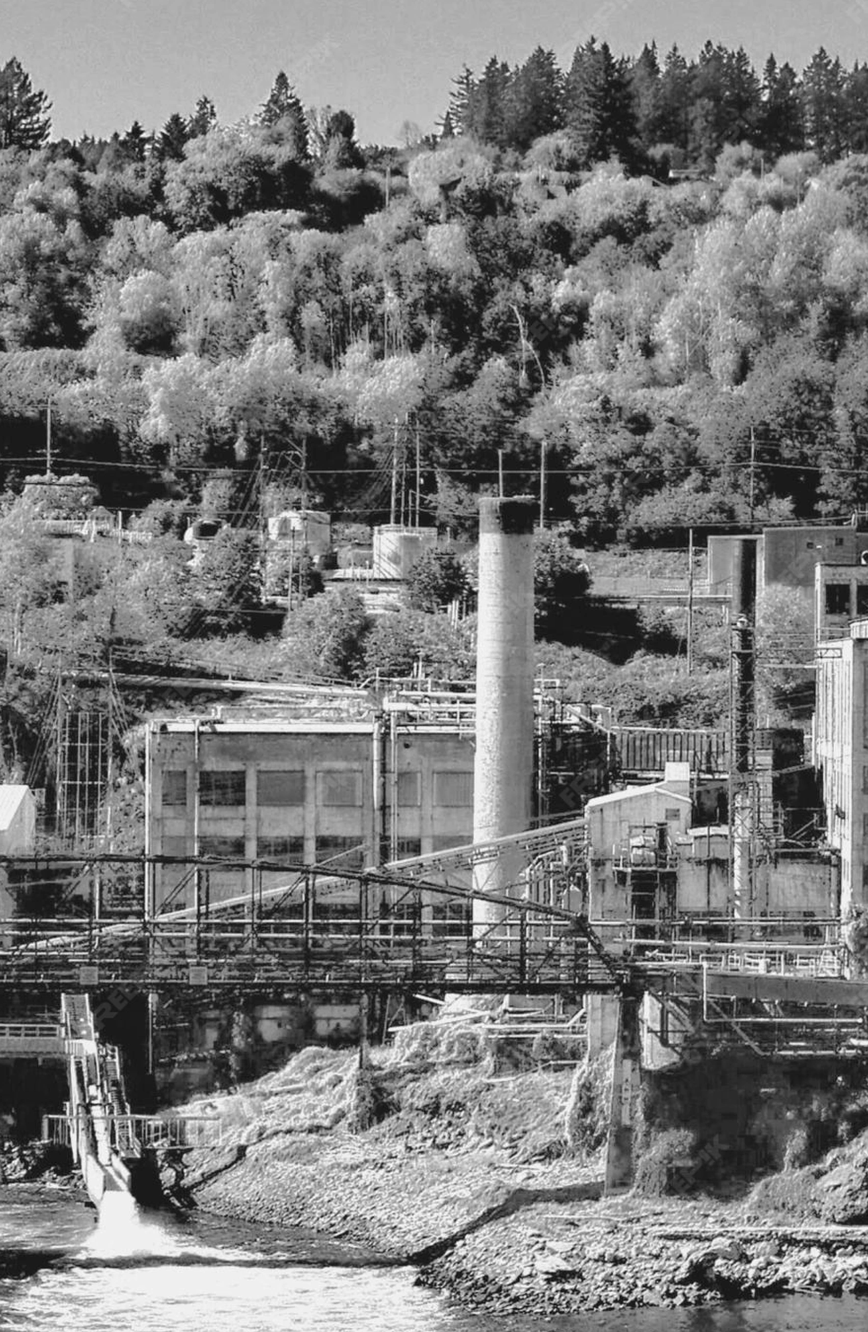 SunTrust Atlantic Energies Limited journey